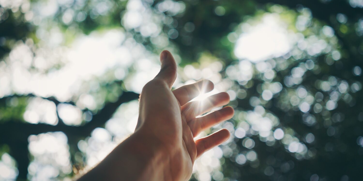 A hand reaches up to a blurred canopy of trees.
